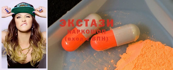 ECSTASY Бородино